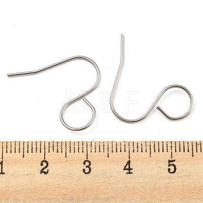 316 Surgical Stainless Steel Earring Hooks STAS-D093-01B-P-1