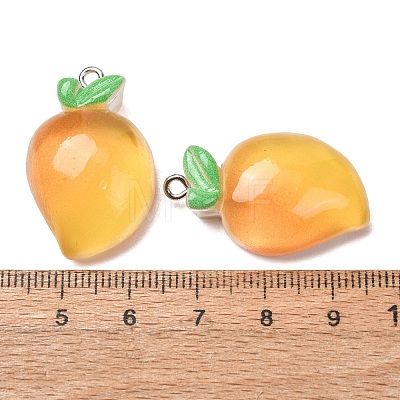 Fruit Theme Opaque Resin Imitation Food Pendants RE-CBA49A8-04C-1