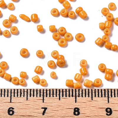 Glass Seed Beads SEED-S060-A-F429-1