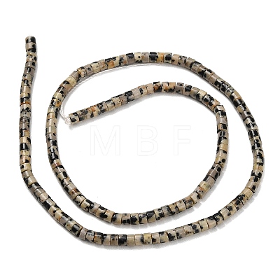 Natural Dalmatian Jasper Beads Strands G-P608-A04-01-1