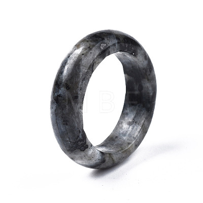 Natural Black Larvikite Plain Band Ring G-N0326-99C-1