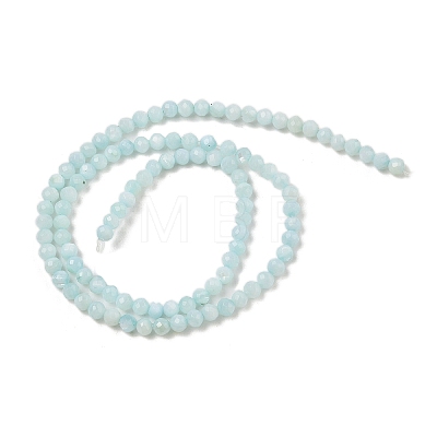 Natural Freshwater Shell Dyed Beads Strands SHEL-R100-12A-02-1