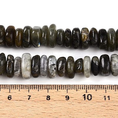 Natural Labradorite Beads Strands G-T141-09-1