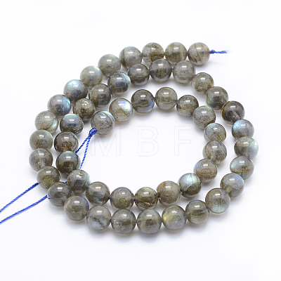 Natural Labradorite Beads Strands G-P336-19-8mm-1