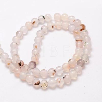 Natural Dendritic Agate Bead Strands G-G880-01-6mm-1