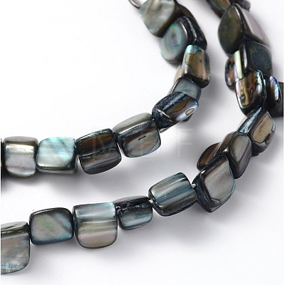 Erose Natural Shell Beads Strands X-PBB070Y-1