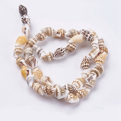 Natural Sea Shell Beads Strands BSHE-K012-07-1