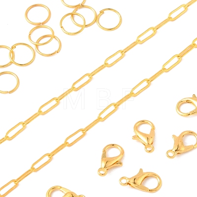 DIY Paperclip Chain Necklace Making Kit DIY-YW0005-34-1