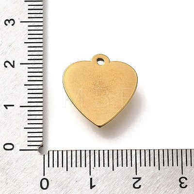 304 Stainless Steel Pendants STAS-Q346-06G-02-1