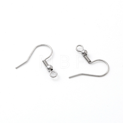 316 Surgical Stainless Steel Earring Hooks STAS-N019-02-1