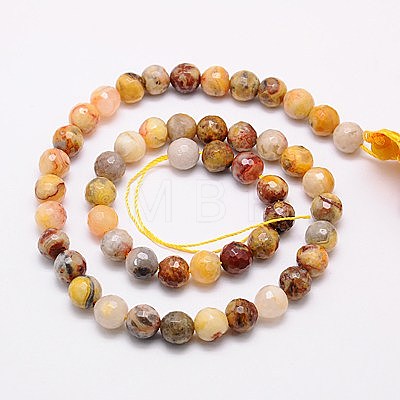 Natural Crazy Lace Agate Beads Strands G-G542-14mm-10-1