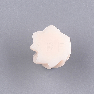 Resin Decoden Cabochons CRES-T010-40B-1