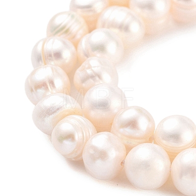 Natural Cultured Freshwater Pearl Beads Strands PEAR-C003-12D-1