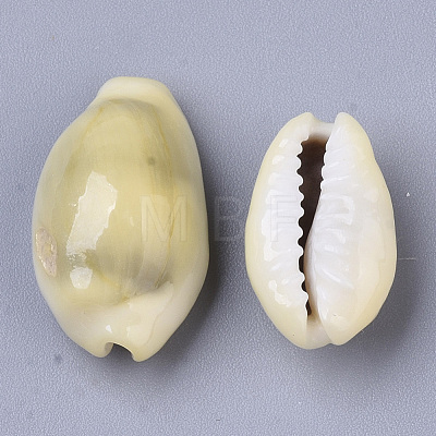Natural Cowrie Shell Beads SSHEL-N034-C-26-1