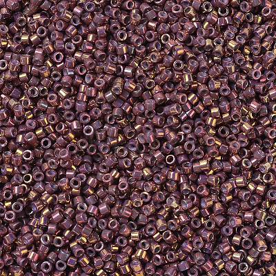 MIYUKI Delica Beads X-SEED-J020-DB1013-1