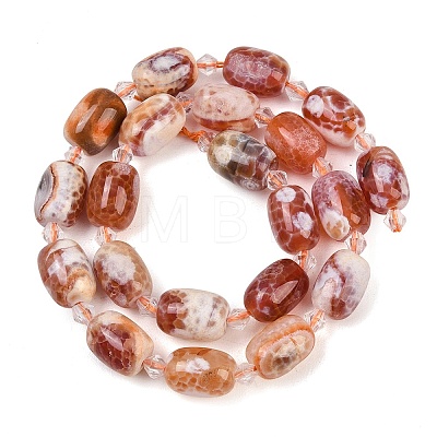 Natural Fire Crackle Agate Beads Strands G-K393-G01-10x14-1