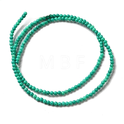 Natural Howlite Beads Strands G-C025-15A-1