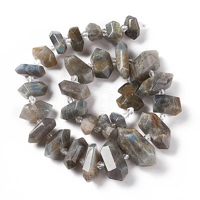 Natural Labradorite Beads Strands G-F719-23-1