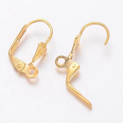 Brass Leverback Earring Findings X-KK-E493-G-1