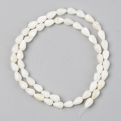 Natural Freshwater Shell Beads Strands SSHEL-R048-007B-1