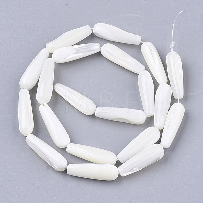 Natural Trochid Shell/Trochus Shell Beads Strands SSHEL-N032-03-1