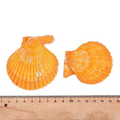 Undyed Natural Scallop Shell Big Pendants SHEL-T020-01-1