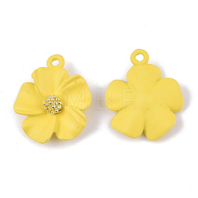 Spray Painted Alloy Pendants LS-PALLOY-N0147-03D-1