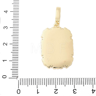 Brass Enamel Pendants LS-KK-F886-01G-09-1