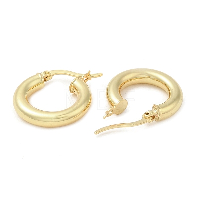 Rack Plating Brass Hoop Earrings EJEW-Q773-17G-1