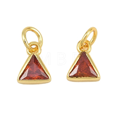 Brass Pave Cubic Zirconia Charms CU-CBA3D67-10G-04-1
