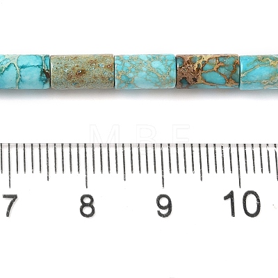 Natural Imperial Jasper Beads Strands G-Q169-A02-01A-1