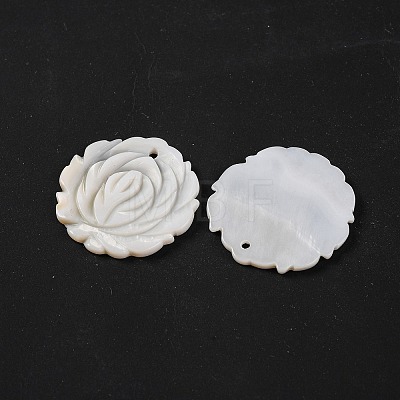 Natural Freshwater Shell Carved Pendants BSHE-S304-12-1