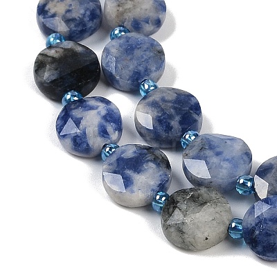 Natural Blue Spot Jasper Beads Strands G-C116-A79-01-1