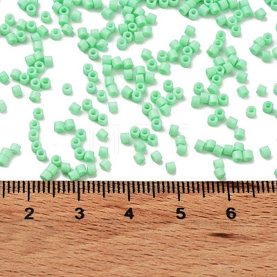 Baking Paint Glass Seed Beads X-SEED-S042-05B-59-1