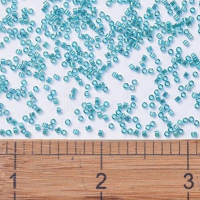 MIYUKI Delica Beads SEED-X0054-DB1248-1