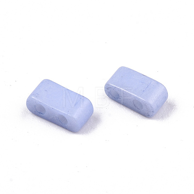 2-Hole Baking Paint Glass Seed Beads X-SEED-S031-M-SH494FR-1