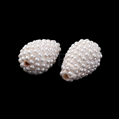 Handmade Polymer Clay Beads KK-F894-17-1