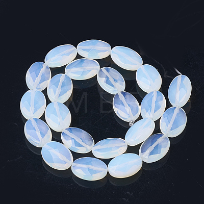 Opalite Beads Strands G-S292-55-1