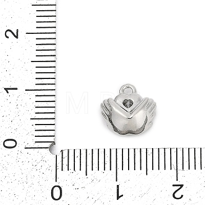 Brass Micro Pave Cubic Zirconia Charms ZIRC-P122-01A-P01-1