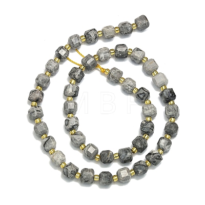 Natural Map Stone Beads Strands G-I376-D01-01-1