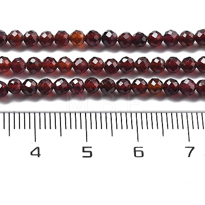 Natural Garnet Beads Strands G-H079-A01-03C-1