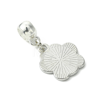 Platinum Tone Alloy Enamel European Dangle Charms PALLOY-JF03232-1