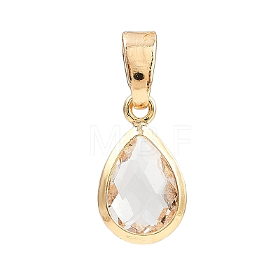 Glass Charms PALLOY-JF04360-1