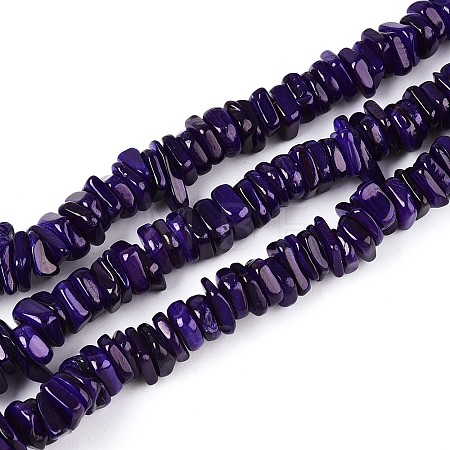Natural Freshwater Shell Beads Strands SHEL-T020-40B-1