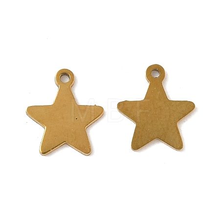 304 Stainless Steel Charms STAS-K306-15C-G-1