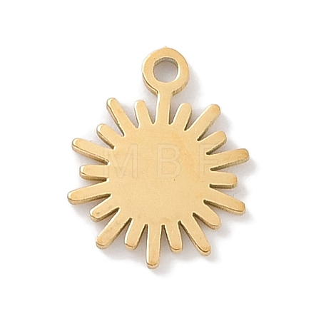 304 Stainless Steel Charms STAS-K286-01H-G-1