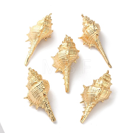 Electroplated Natural Conch Shell Big Pendants SSHEL-B002-01G-02-1