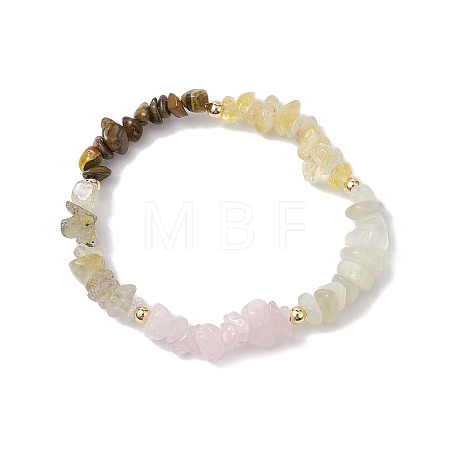 Leo Guardian Gemstone Stretch Bracelets BJEW-JB11108-07-1