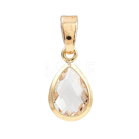 Glass Charms PALLOY-JF04360-1