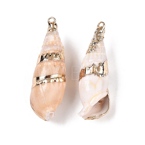 Natural Conch Shell Big Pendants SSHEL-N038-28-1